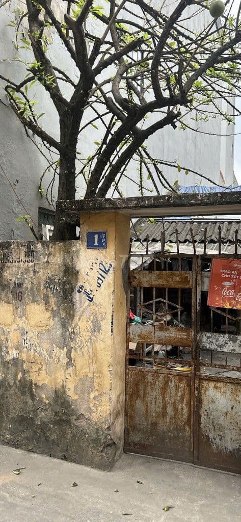 CHÍNH CHỦ BÁN ĐẤT VỊ TRÍ ĐẸP GẦN CẦU ĐÔNG TRÙ, GẦN VIN CỔ LOA - Ảnh 2