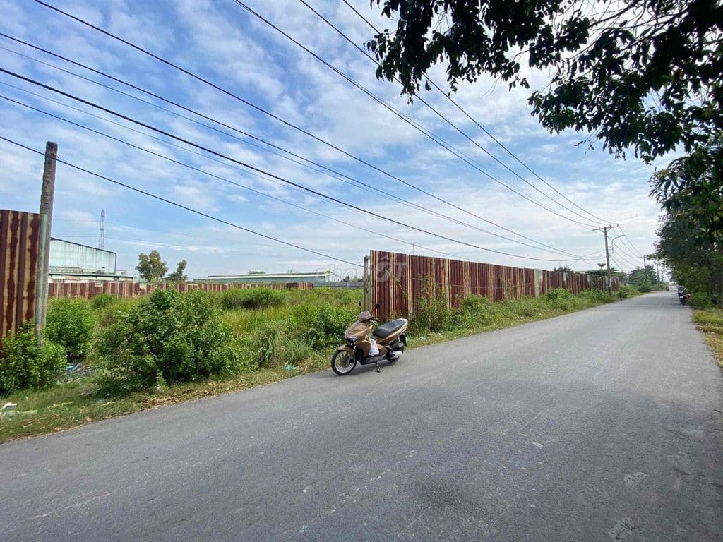 Bán 1000m2 đường container xã Tân kiên xát bên VÕ VĂN KIỆT NỐI DÀI - Ảnh 2