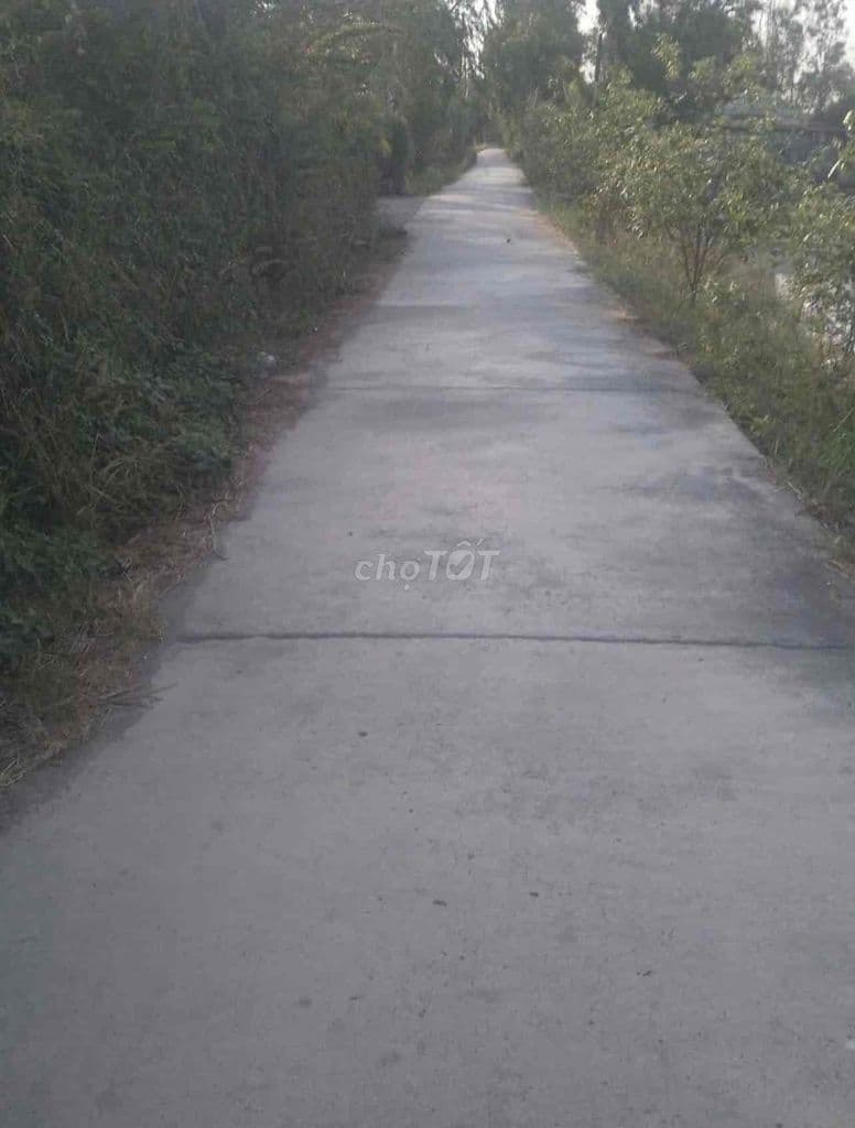 cần bán - Ảnh 3