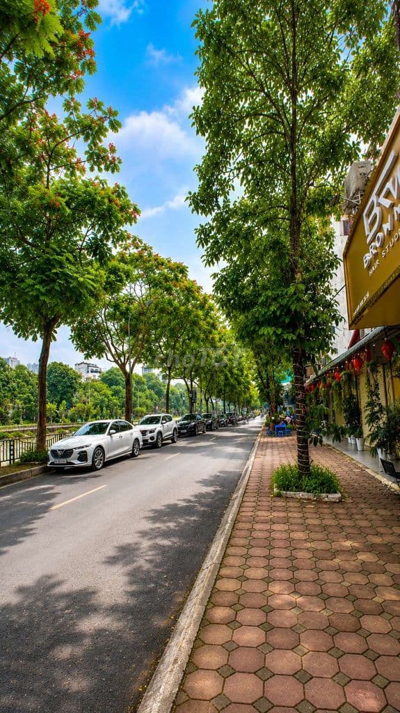 🔥🔥🔥 MẶT PHỐ NGUYỄN KHANG - CẦU GIẤY🏠 NHÀ ĐẸP 💰 Giá tốt❗ - Ảnh 2