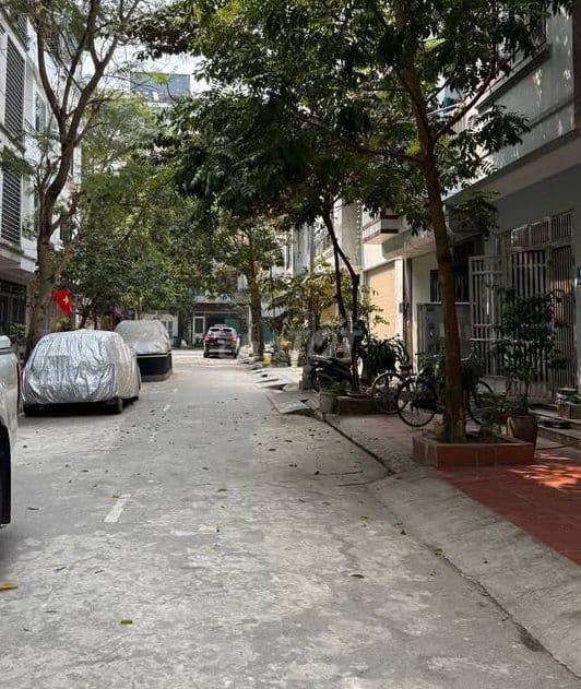 Bán đất đấu giá mậu lương