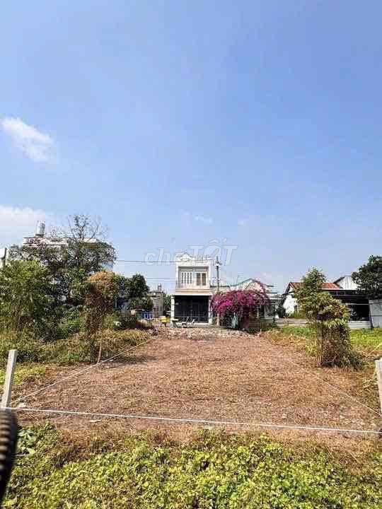 5x19 thoi tam thon - Ảnh 3