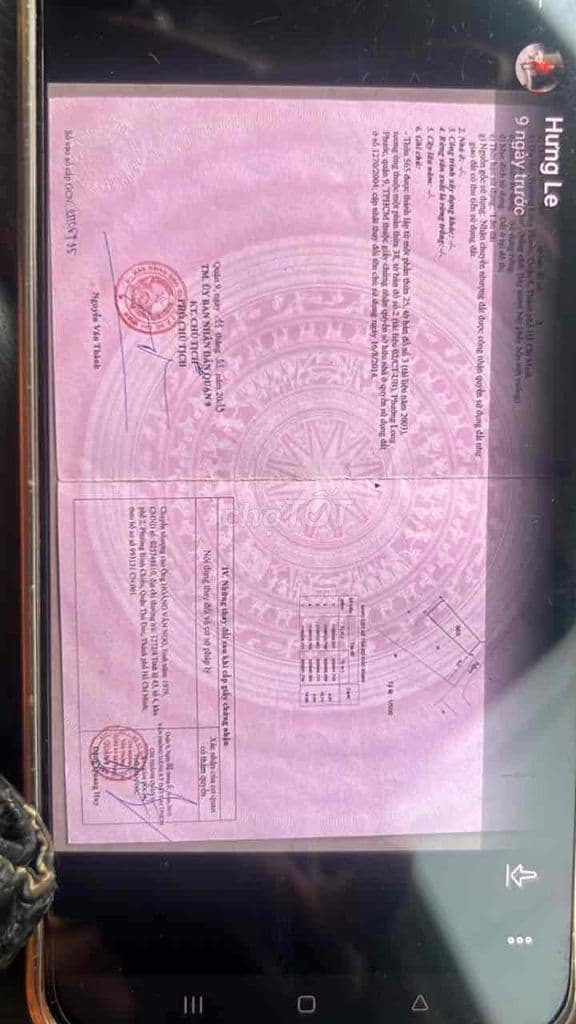 cần tiền bán gap - Ảnh 2