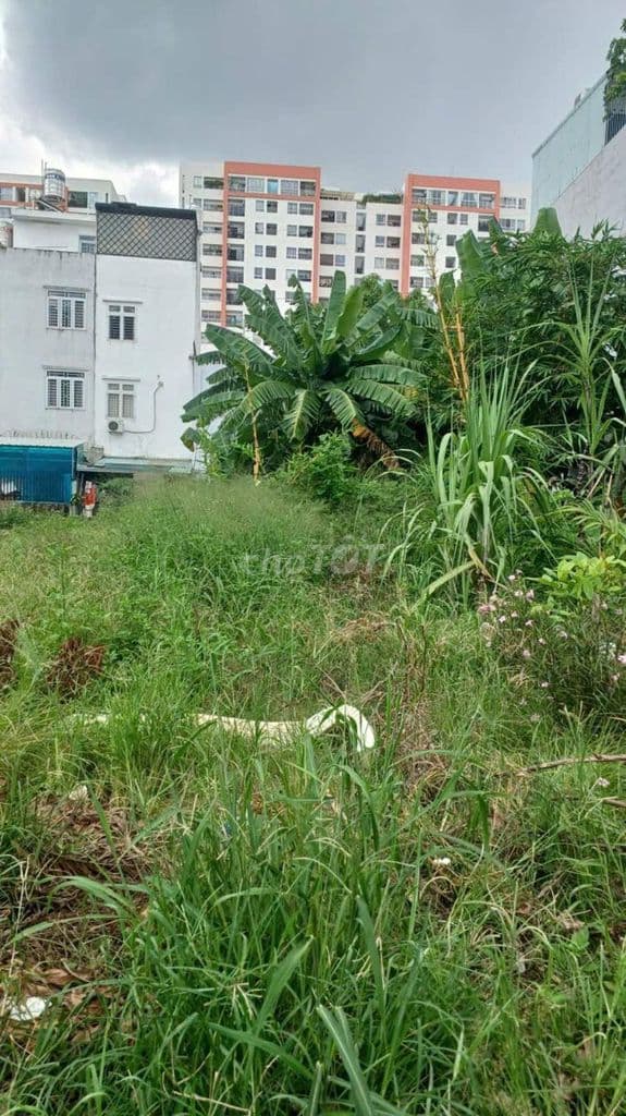 BÁN ĐẤT LINH ĐÔNG – TP. THỦ ĐỨC - Ảnh 2