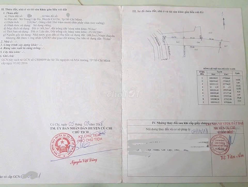 Bán lô đất 291m2 giá 1ty đường Nguyễn Thị rành xã Trung Lập Hạ Củ Chi - Ảnh 3