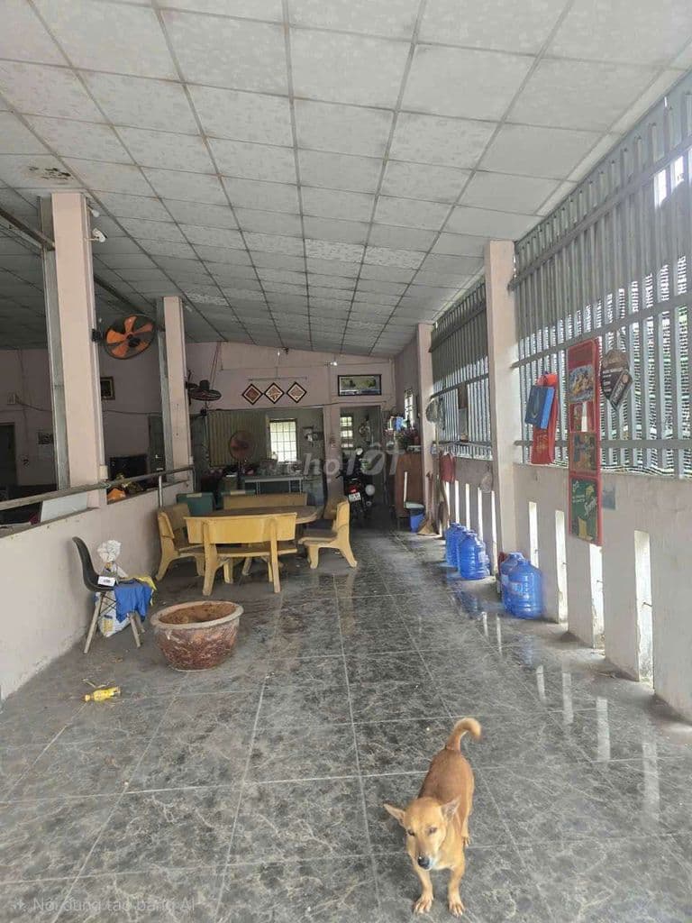 bán đất tặng kho lô nhì đoàn nguyên tuân gần chợ hưng long 1387m - Ảnh 3
