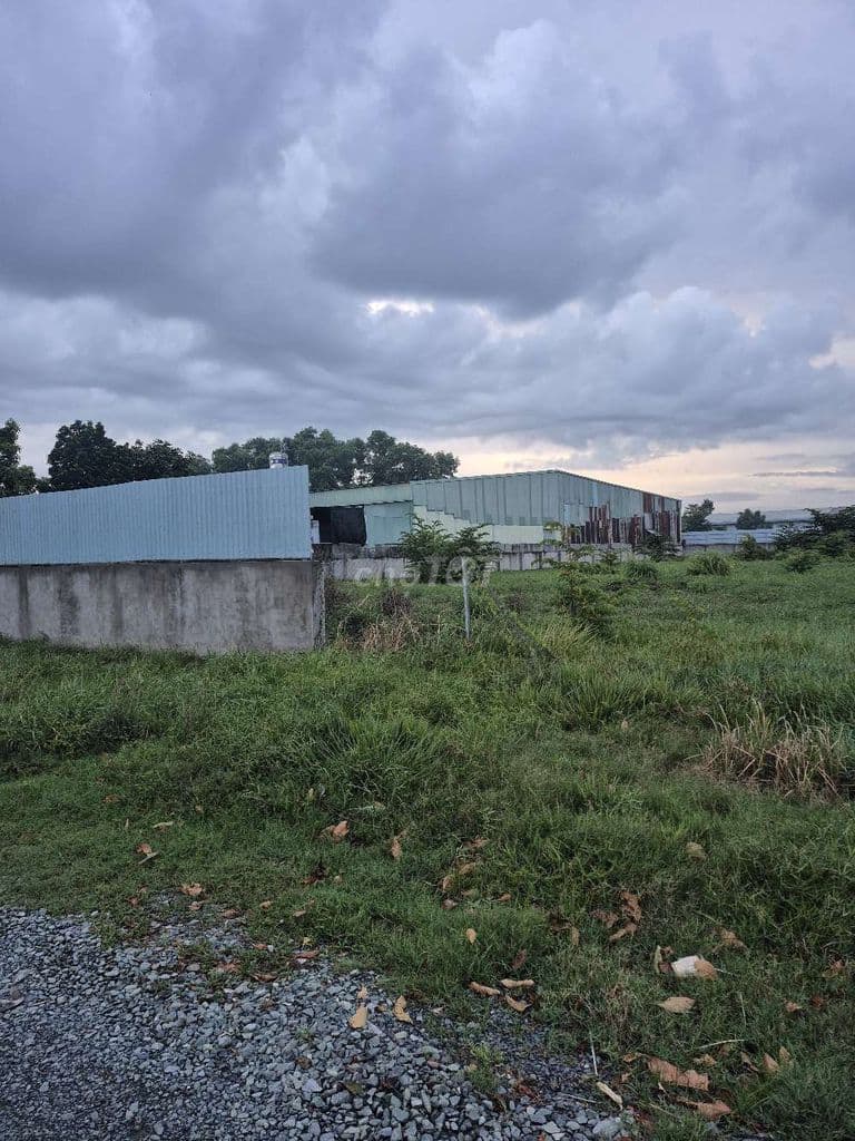 Cần Bán Đất Tân Thạnh Đông Dt: 60x93.= 5012 m2. Giá thương lượng mạnh - Ảnh 2