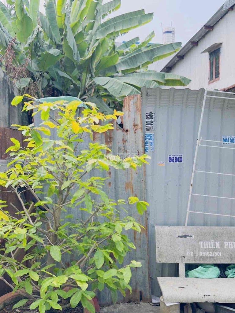 Hạ giá bán nhanh lô đất Tx31 - p. Thạnh xuân - Q12 - Ảnh 3