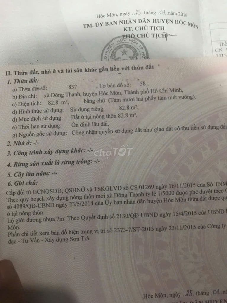 Đất 5,3x16 đường nhựa 7m thông xây dựng tự do hoàn công ngay - Ảnh 3