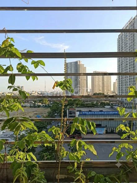 Căn Góc 2 Ngủ 75m2 Ecohome1 Đông Ngạc - Cạnh Cầu Thăng Long Đẹp Thoáng - Ảnh 2