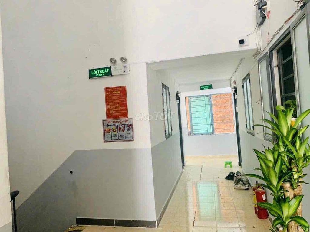 278m2(11.6x23.8)50phòng Chdv 6 TẦNG dòng tiền khoán 1tỷ HẺM 1/ XE TẢI - Ảnh 3