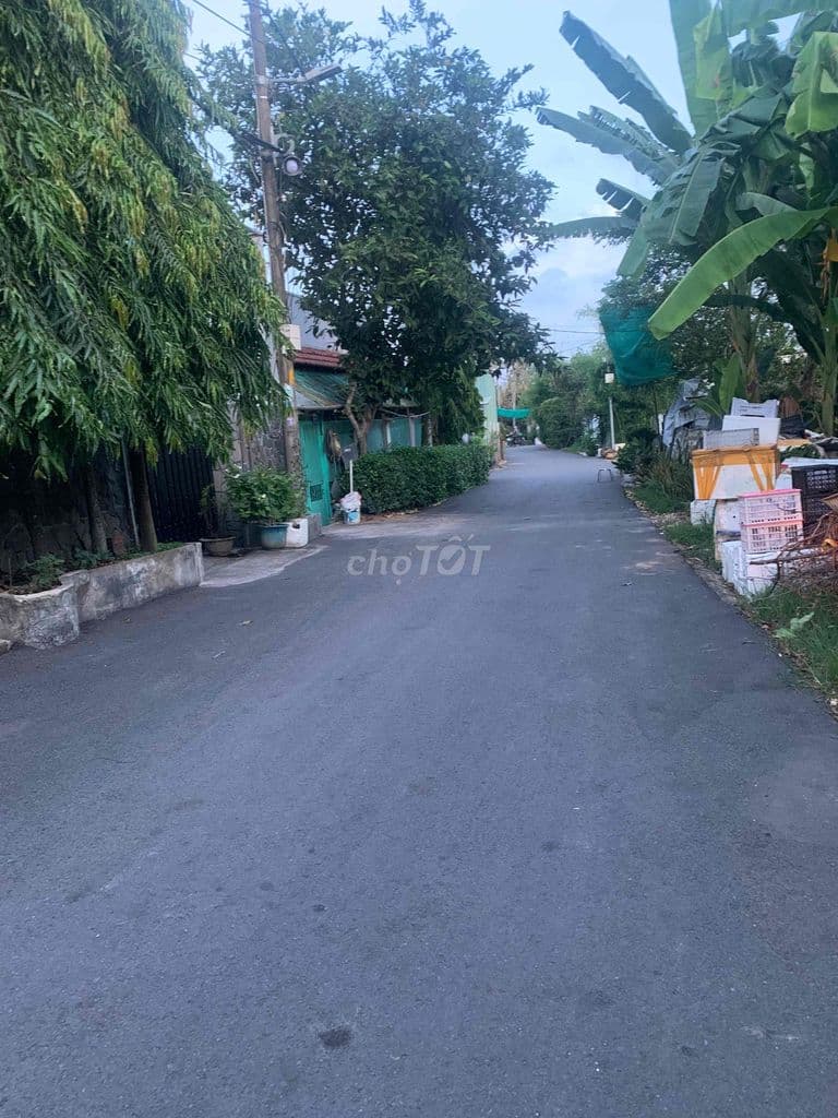 HIẾM.!!! 126M2 MT TRƯƠNG HẠNH PHƯỜNG LONG BÌNH Q9 - Ảnh 2