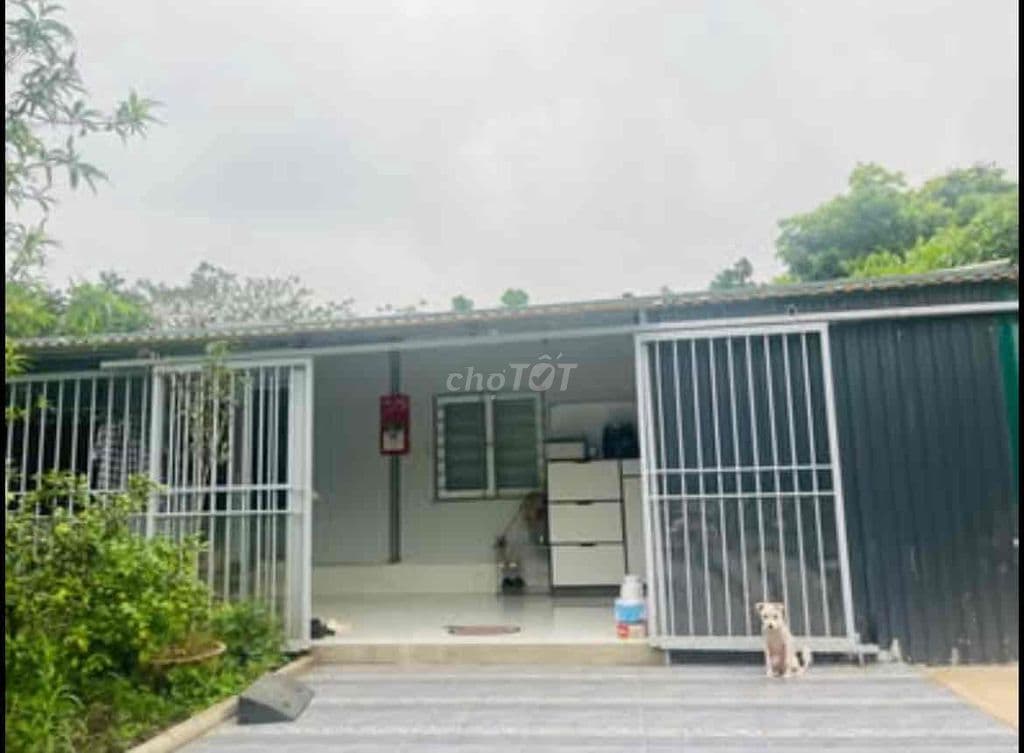 Bán vườn đào tặng căn nhà lắp ghép mới đẹp - Ảnh 2