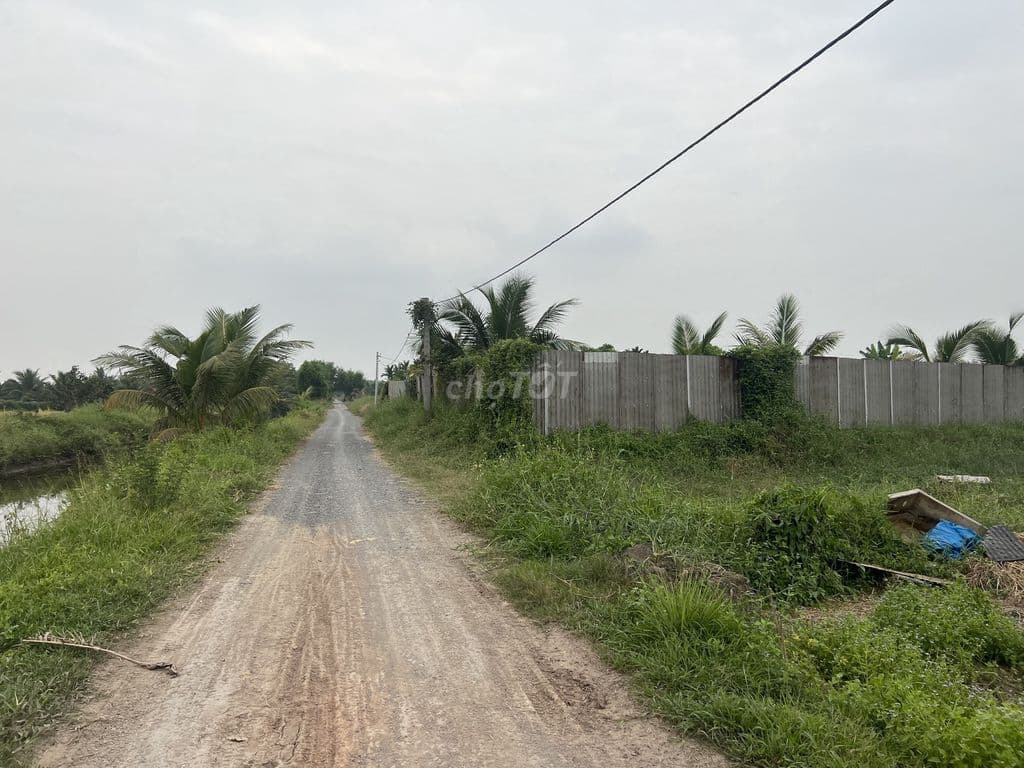 Bán 3,0ha đất đường Kênh 10, Lê Minh Xuân sát Vành Đai 3 - Ảnh 3