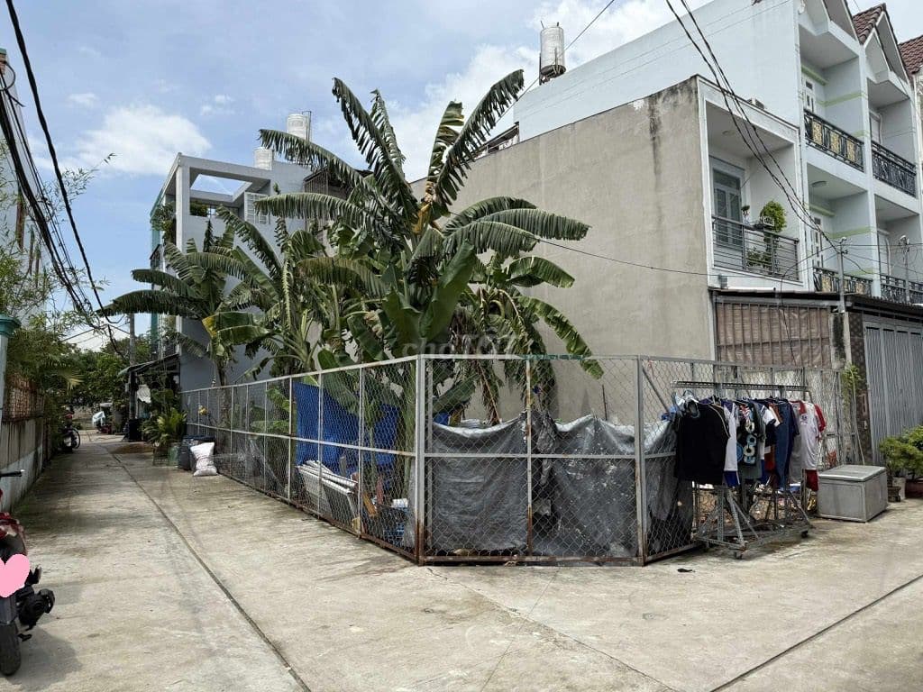 BÁN ĐẤT FULL THỔ CƯ 73M² (5x15) HẺM XE HƠI TỈNH LỘ 10, CHỈ HƠN 3 TỶ - Ảnh 2