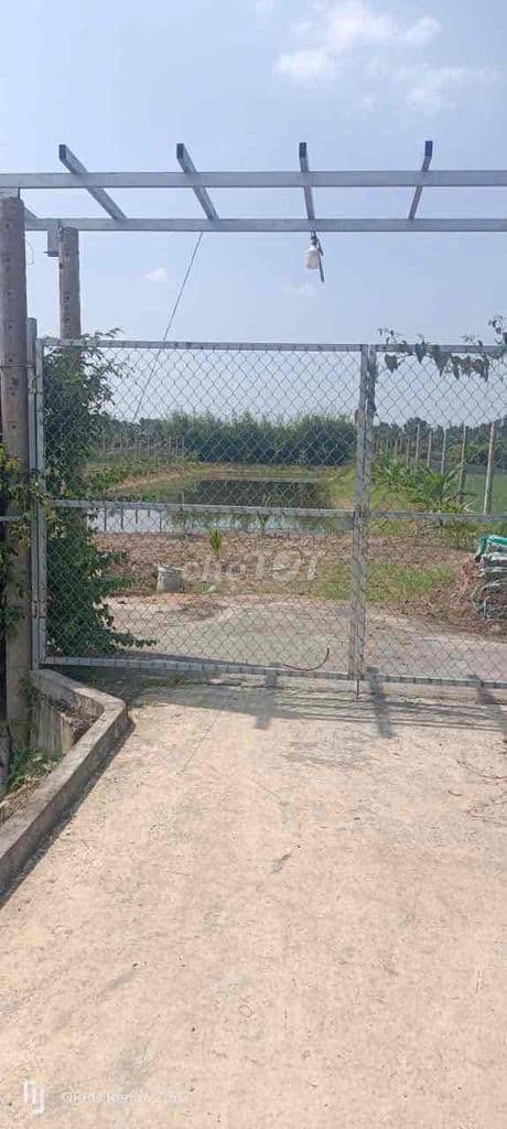 Bán rẻ nhà vườn 2000m2 MT Lương Ngang giá rẻ 7ti - Ảnh 2