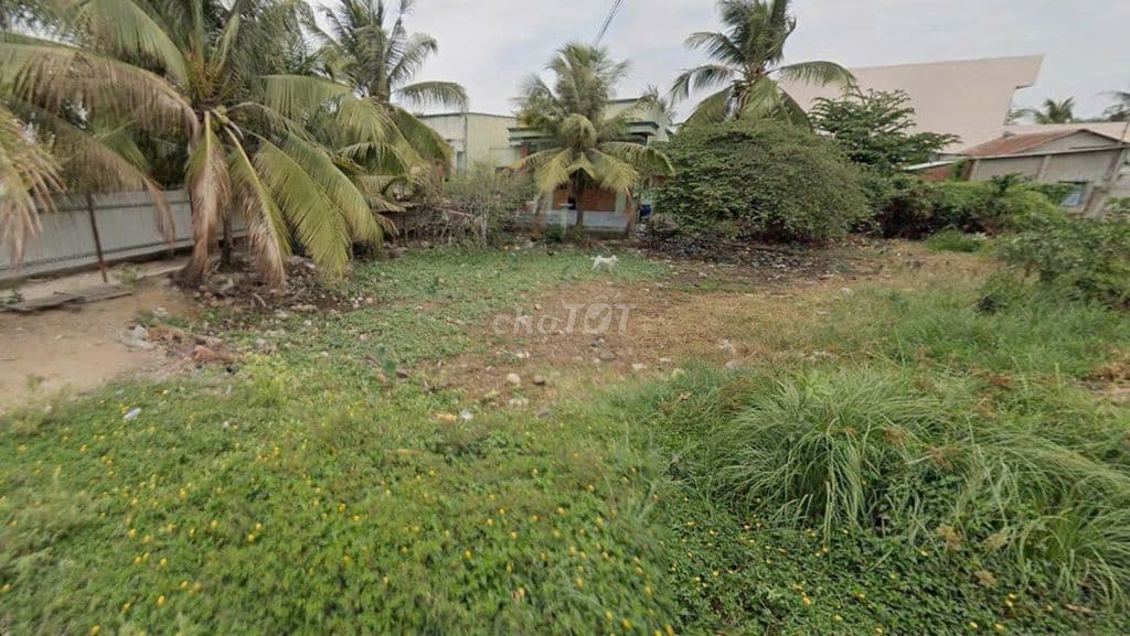 Bán đất ODT, 200m2, SHR, gần Đ. Nguyễn Thị Định, tiện xây CHDV