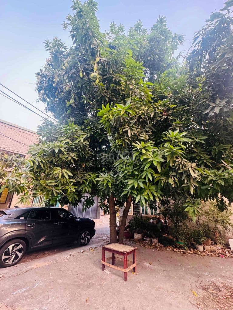 Lô Đất 209m2 Không QH Đường Xe Tải Sát Đường Dự Kiến 20m - Ảnh 2