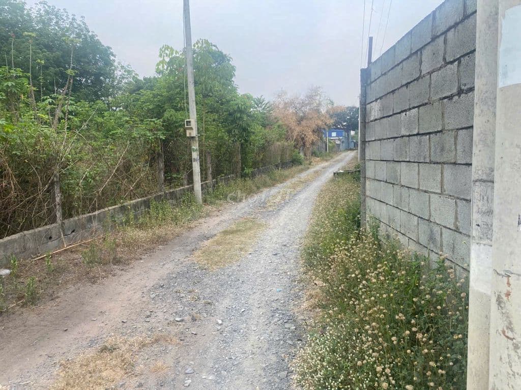 ĐẤT 4,750m2 - PHÚ HÒA ĐÔNG - CỦ CHI - Ảnh 2