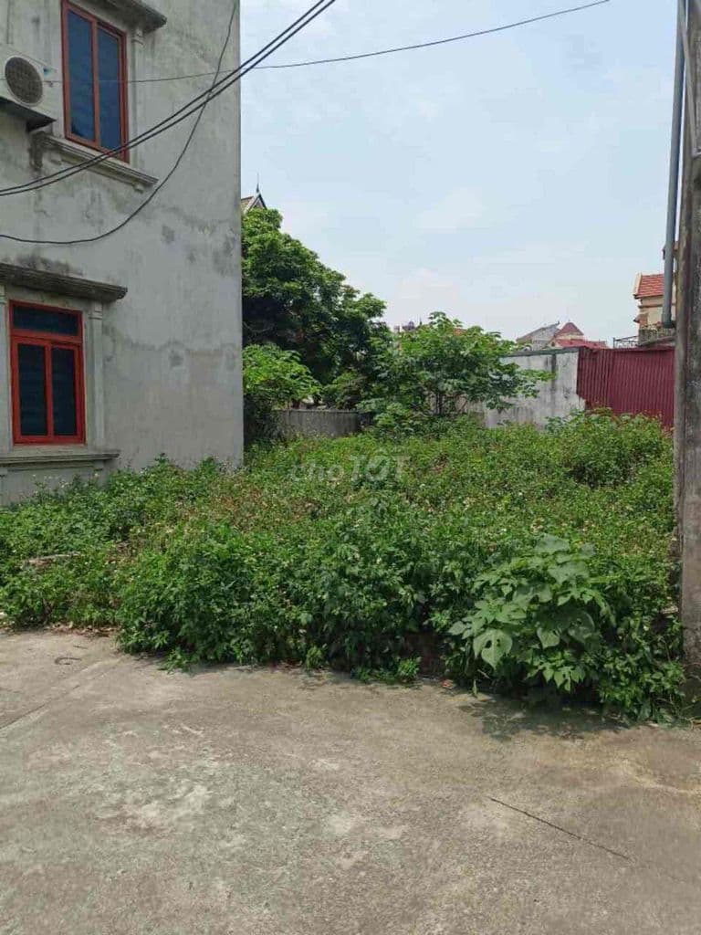 Hơn 3ty đất tại Gia Lâm lại gần ocenpark có tin được không các bác.