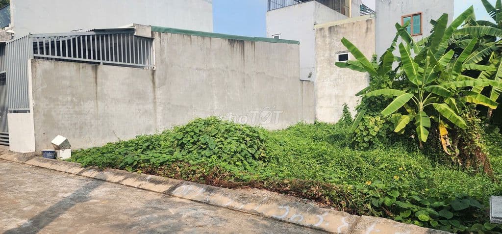 Lô đất 138m2 N8m x D17.5m HẺM XE HƠI cách Lò Lu ( Q9 ) 300m- NHỈNH 5TỶ - Ảnh 3