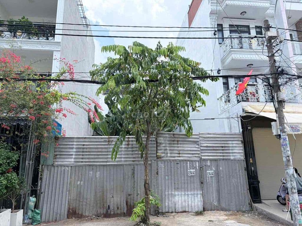gia dinh can ban - Ảnh 3