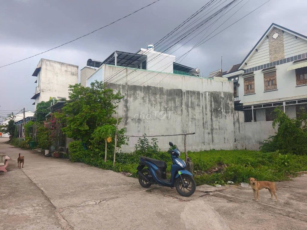 BÁN LÔ ĐẤT 96.9 M2 Ở TÂN QUY TÂY, BÌNH CHÁNH_ GIÁ 1TY550