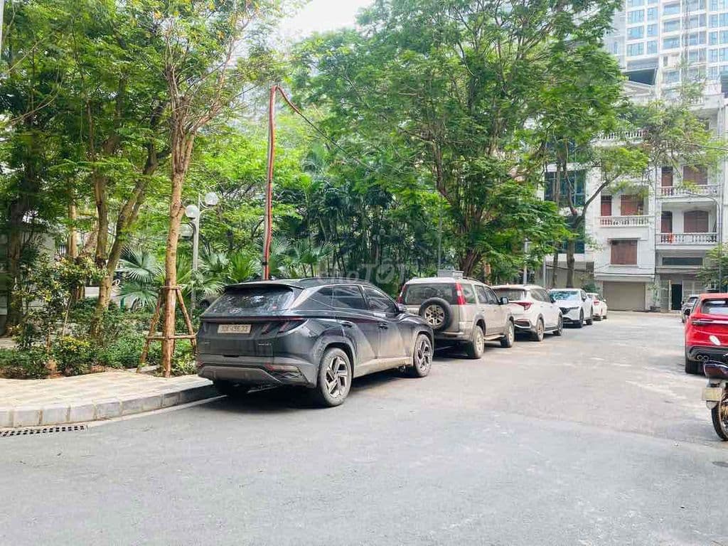 176m Đất Biệt Thự Vườn Đào-Tây Hồ,MT11m,View Công Viên,Sát Lotte,Hồ Tâ - Ảnh 2