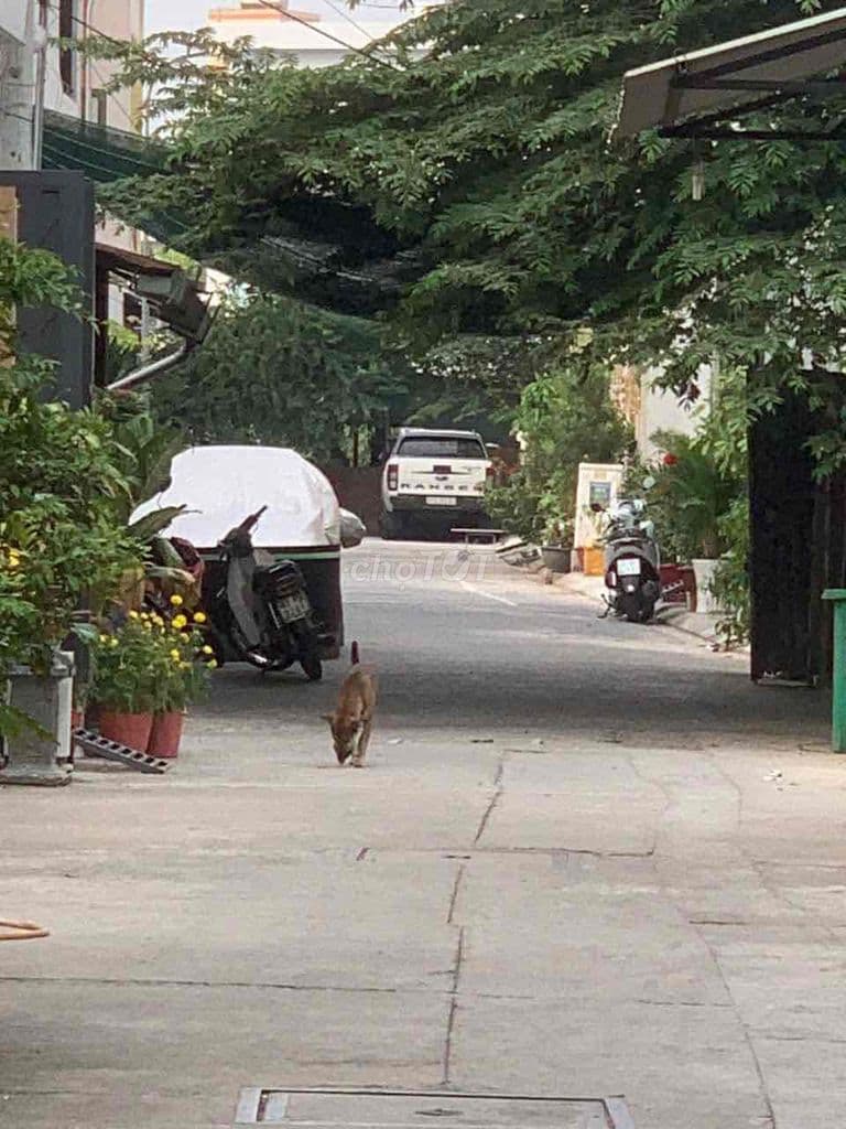 Đất thổ cư không lộ giới, 2 mặt tiền, hẻm 5 mét, khu dân cư cao tầng