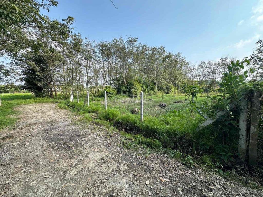 1.000m2 có 120m2 thổ cư đương xe hơi 5 tấn thông đất sạch giá 2.7 tỷ T