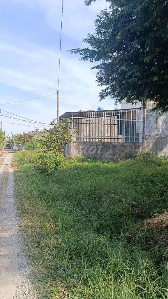 Đất sạch cách đại lộ Xuyên Á 400m bên cạnh THPT Tân Thông Hội - Ảnh 2