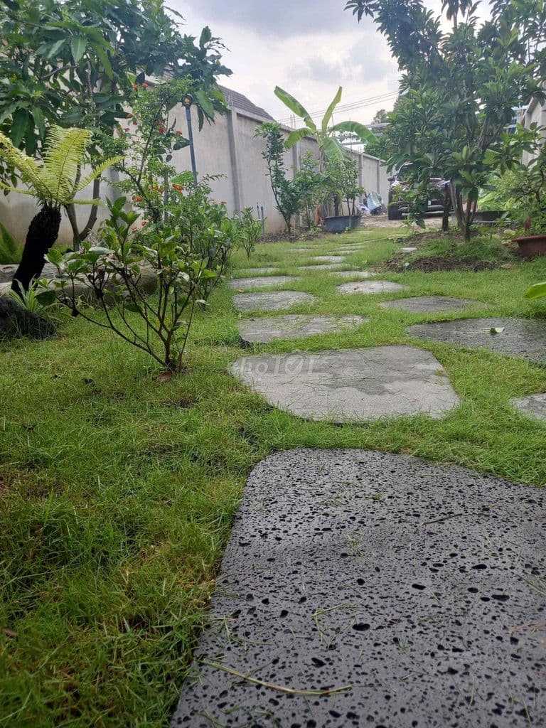 Nhà Vườn 300m2 Củ Chi , cần bán gấp , 2 tỷ 8 thương lượng - Ảnh 2