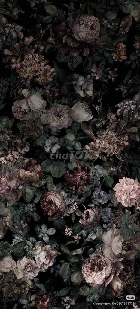 122M x C4 - 17,5 TỶ (143TR/M) - SỔ RIÊNG - NÚI TRÚC, QUẬN BA ĐÌNH - TT - Ảnh 3