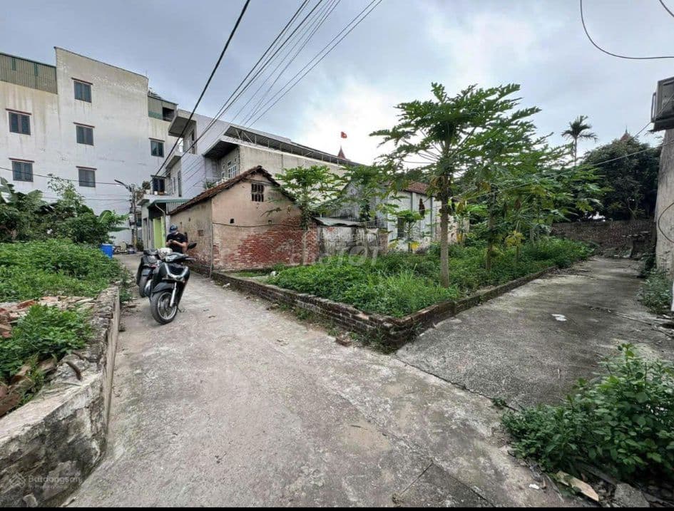 CHÍNH CHỦ CẦN BÁN 48M² ĐẤT VÂN CÔN – NGÕ THÔNG 2.5M – GIÁ CHỈ 70 TR/M² - Ảnh 2