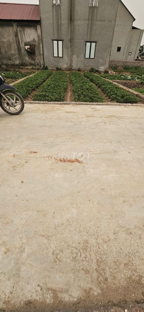 🔥HOT! LÔ ĐẤT 80m2 Đại Tảo,Xuân Giang Siêu Đẹp như Tranh Vuông Vắn