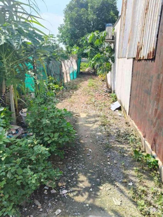 Bán đất tại Mỹ Hoà 3, huyện Hóc Môn, 12,2 tỷ, 110m2, giá tốt - Ảnh 3