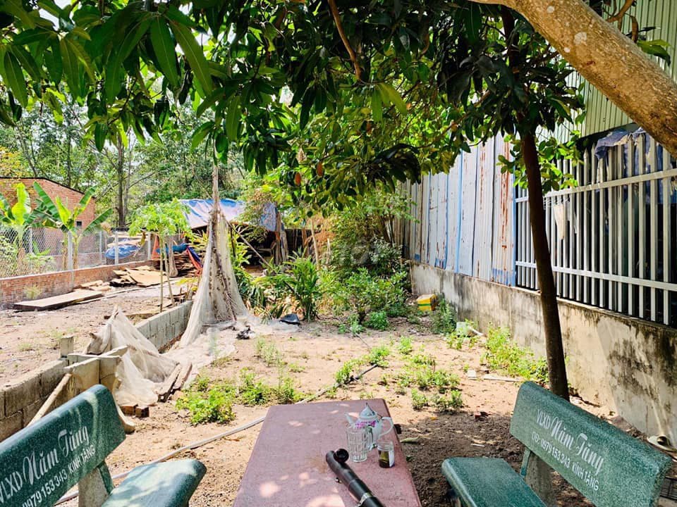 BÁN LÔ ĐẤT NGANG 9M - LIÊU BÌNH HƯƠNG - GIÁ 740TR - ĐƯỜNG NHỰA - SHR - Ảnh 2