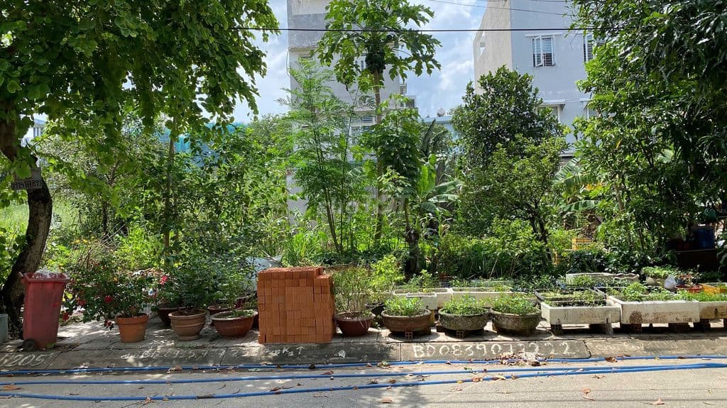 Bán Gấp Đất Khu 1 Thạnh Mỹ Lợi Quận 2 TP Hồ Chí Minh