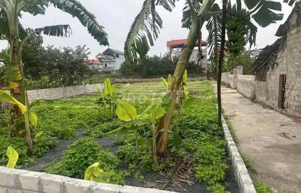 bán lô đất 2 mặt tiền Bột Xuyên giá tốt - Ảnh 2