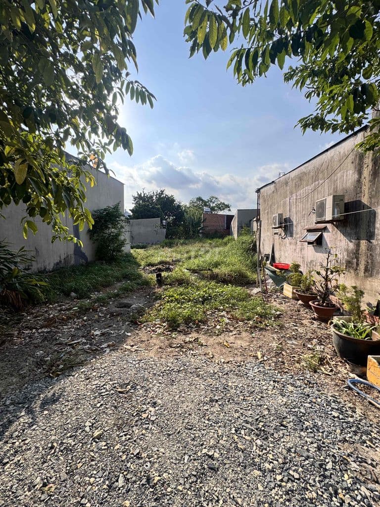 Đất Gần Quận 12 Diện Tích 8 x 38 Shr 306m2 - Ảnh 2