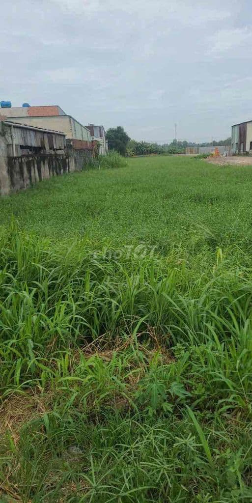 bán hoạc cho thue lô đất ngay khu cháo bầu, hóc môn