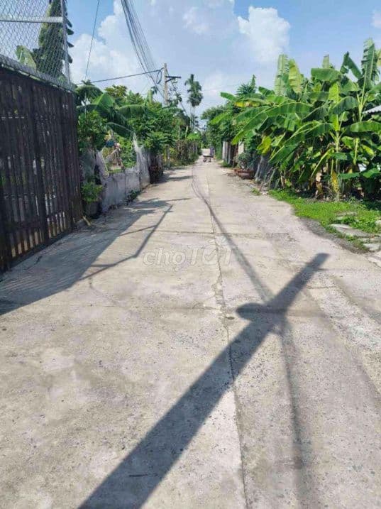 Bán đất tại Mỹ Hoà 3, huyện Hóc Môn, 12,2 tỷ, 110m2, giá tốt - Ảnh 2