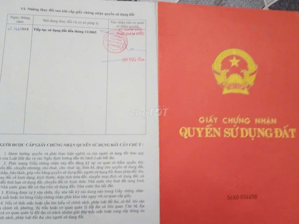 Bán đất nông nghiệp xã Bình Khánh - Cần Giờ - Ảnh 2