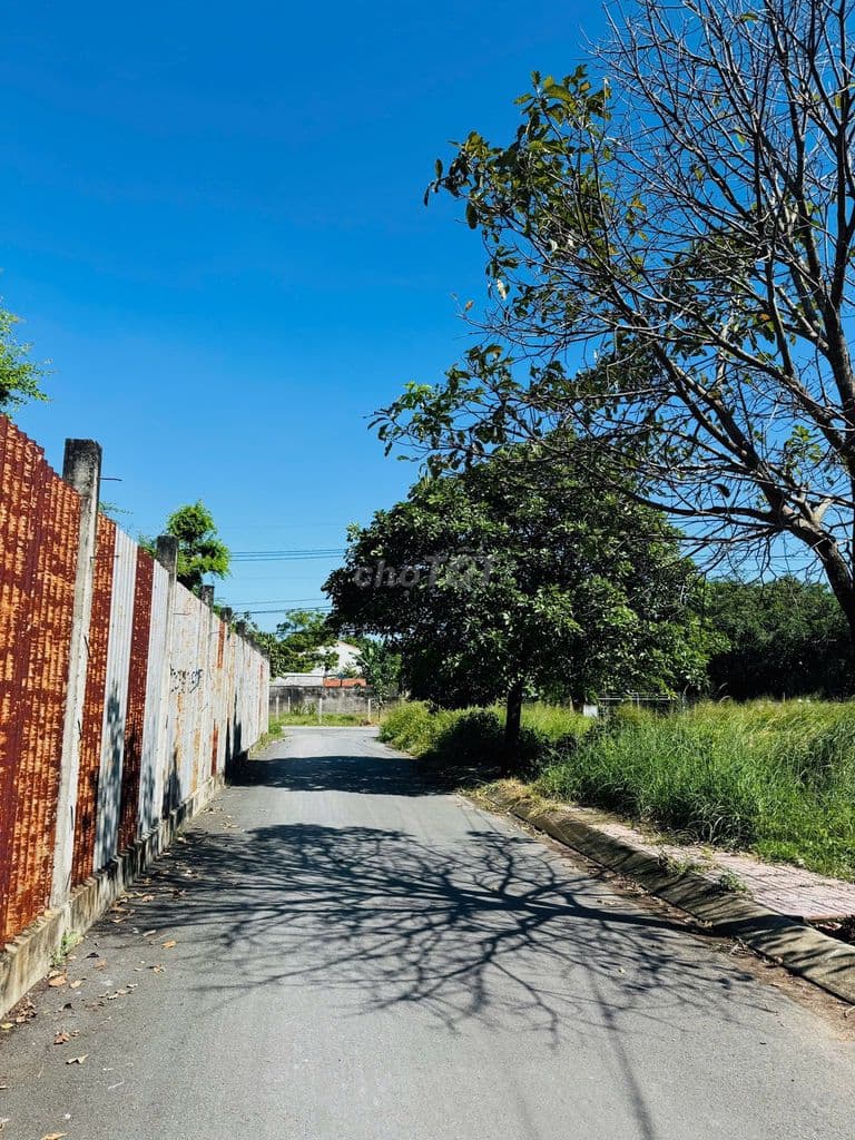 🏡 Giá ngộp 900Tr với 132m2 đất full thổ cư Tân Phú Trung, Củ Chi- SHR - Ảnh 2