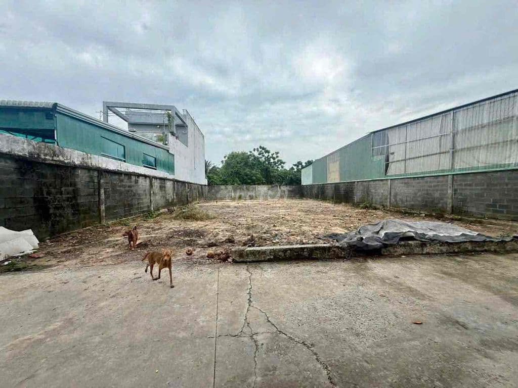 Đất bán DT 5x30m thổ cư công nhận 140m - Tân Hiệp 16 - Ảnh 3