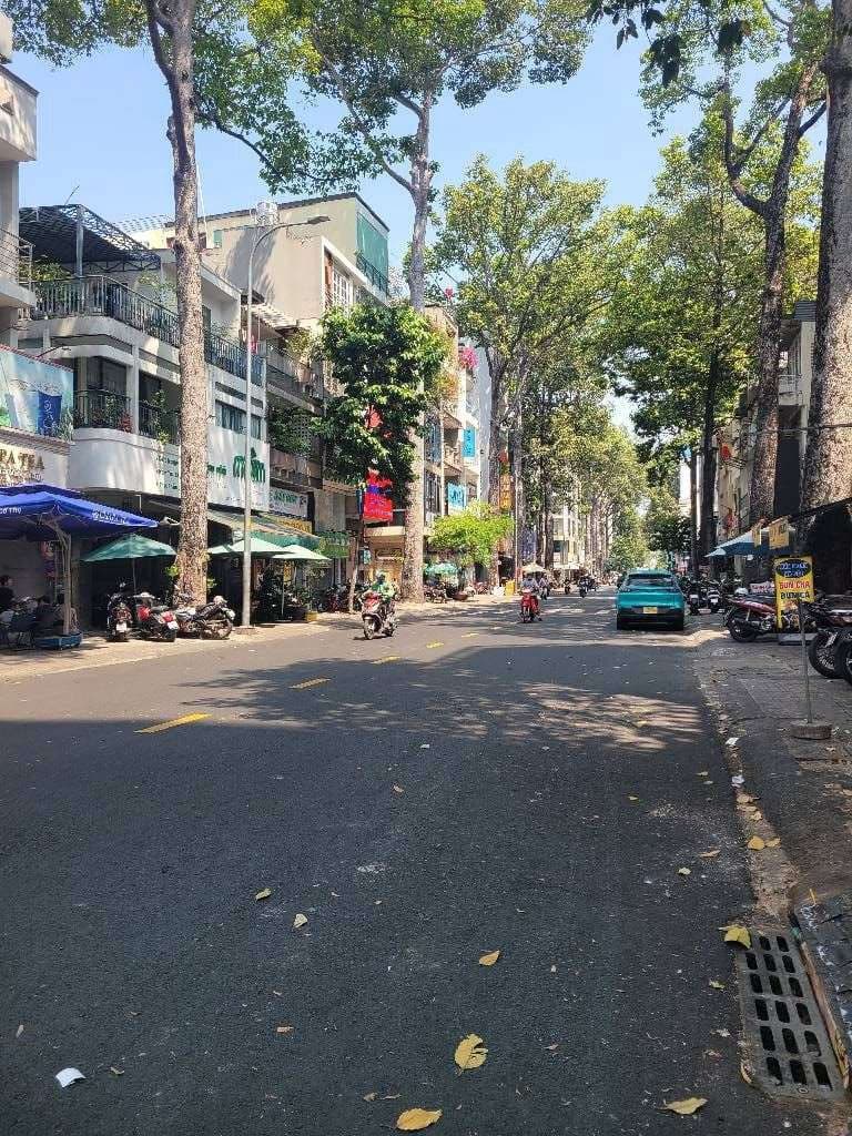 CỰC HIẾM, Bán nhà đường Trần Bình Trọng, HXH,dài 18m, SHR,11 tỷ - Ảnh 2