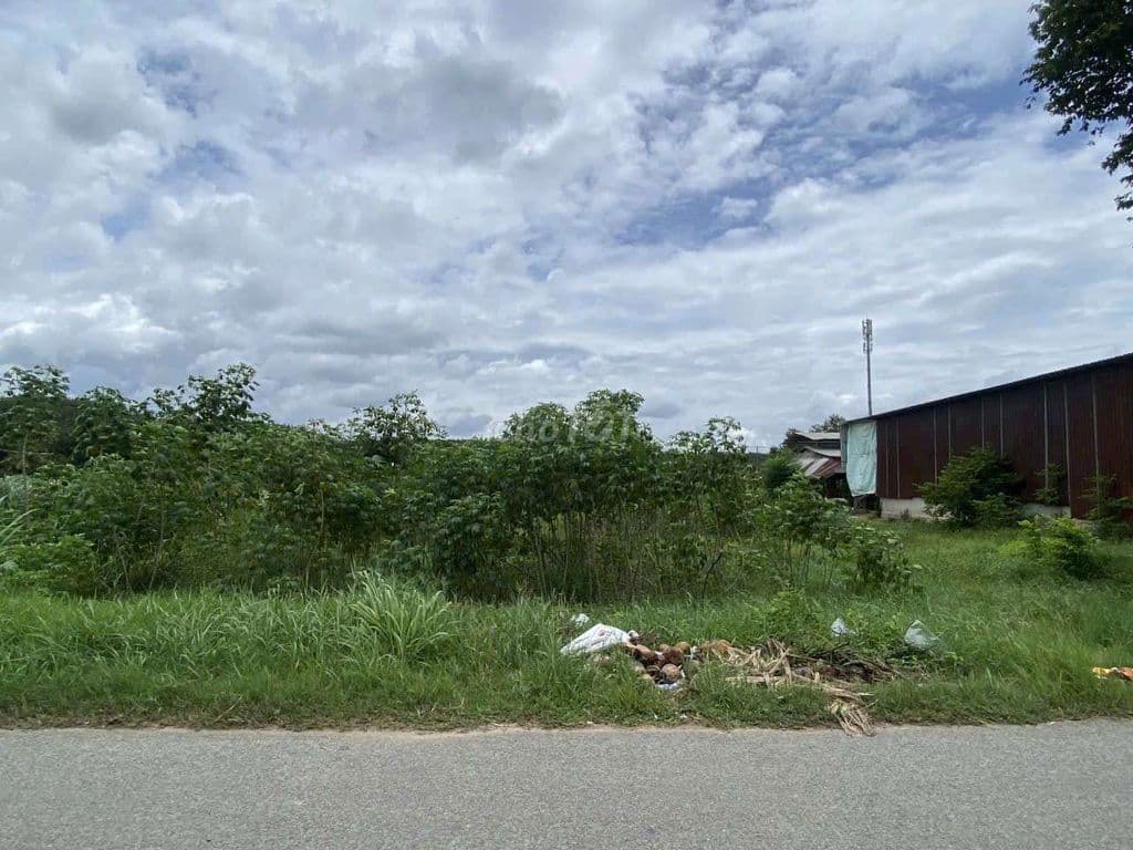 Bán đất mặt tiền Củ Chi - Ảnh 3