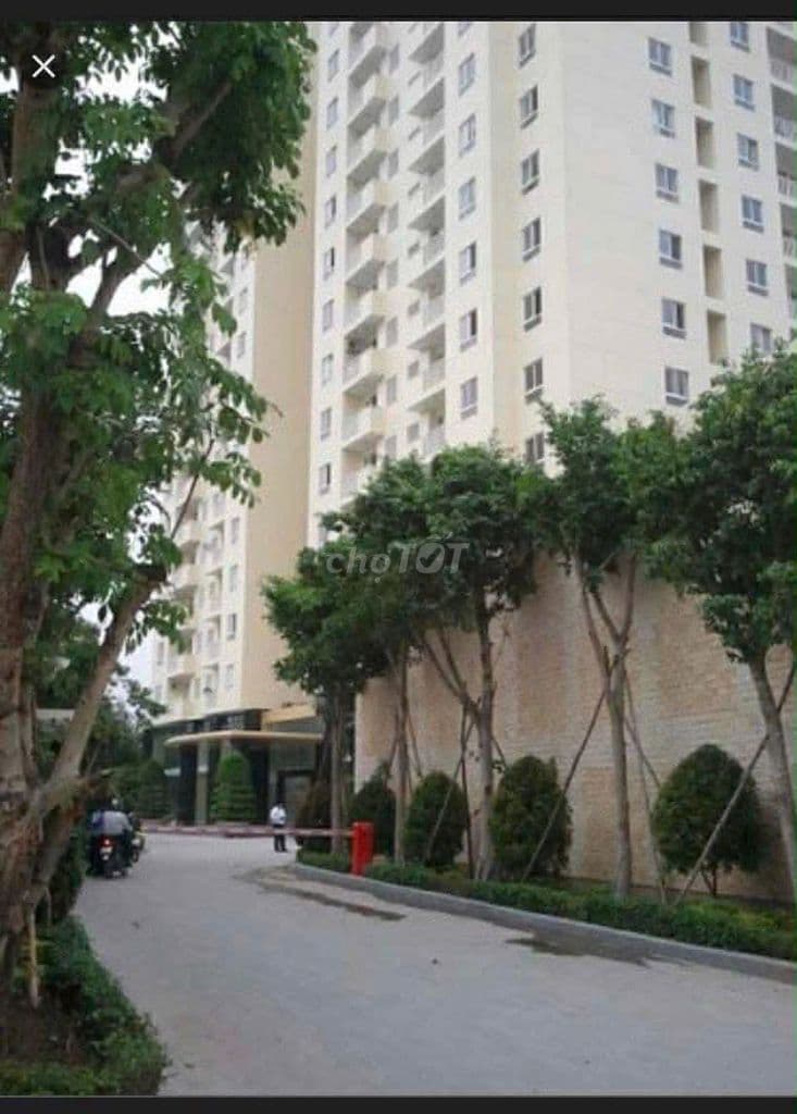 Căn hộ Tecco Tower Thủ Đức, sổ hồng sẵn, công chứng ngay - Ảnh 2