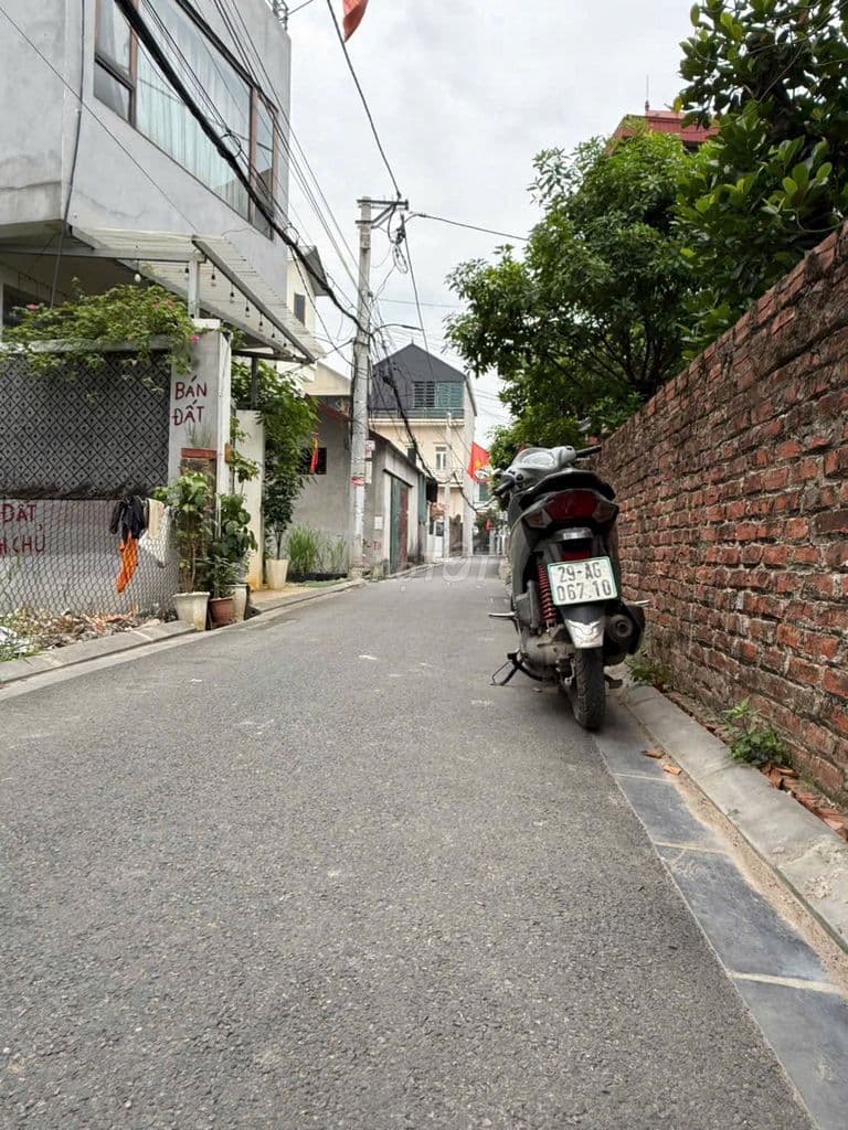 bán đất 61m² Bắc Hồng tiềm năng tăng giá cao - Ảnh 3