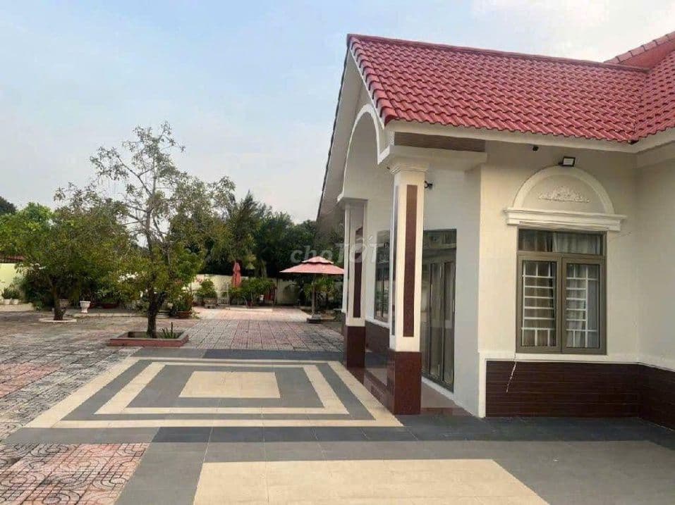Bán nhà tặng đất 700m2 Huỳnh Tấn Phát, cạnh Phú Mỹ Hưng - Ảnh 3